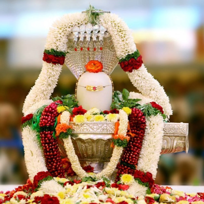 Rudra Abhishek (Live)